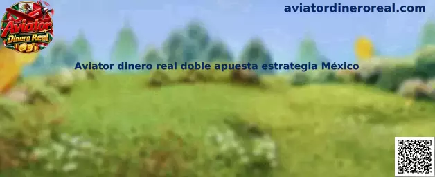 Referencia visual de Aviator Dinero Real y la estrategia de doble apuesta para usuarios en México