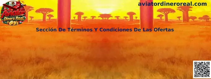 Sección de términos y condiciones de las ofertas