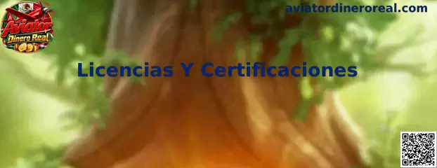 Guía informativa sobre licencias y certificaciones de Aviator Dinero Real