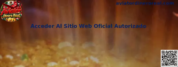Guía para acceder al sitio web oficial autorizado de Aviator Dinero Real