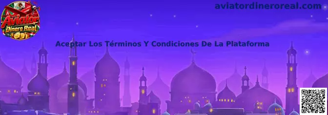 Aceptar Los Términos Y Condiciones De La Plataforma